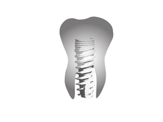 logo08