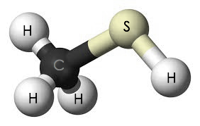 methyl-mercaptane